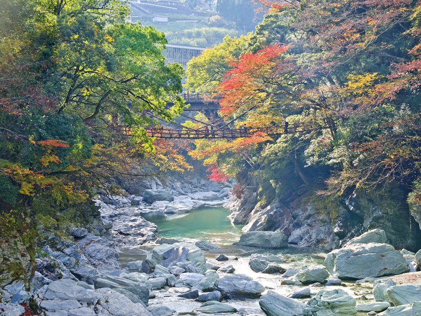 Japan_Tokushima_Kazura Bridge_Iya valley_shutterstock_783321295