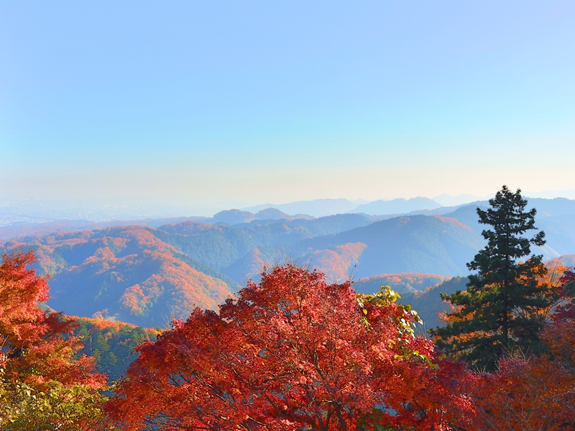 Japan_Tokyo_Mt Takao_Redleave_Autumn_Fall_shutterstock_775257346