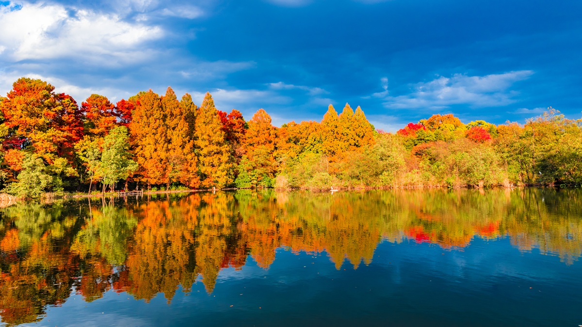 Japan_Tokyo_Shakujii Park_Fall_shutterstock_763367683