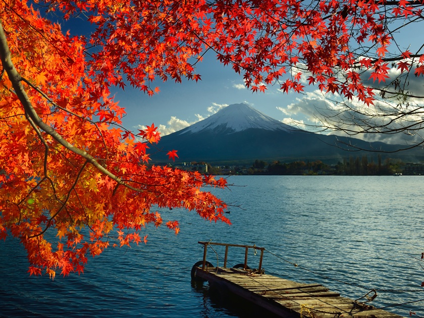 Mount Fuji and red maple leafs