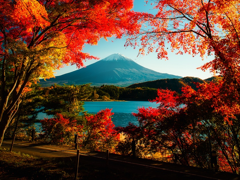 Japan_Yamanashi_Mt Fuji_Kawaguchiko_Autumn_Fall_shutterstock_587810966