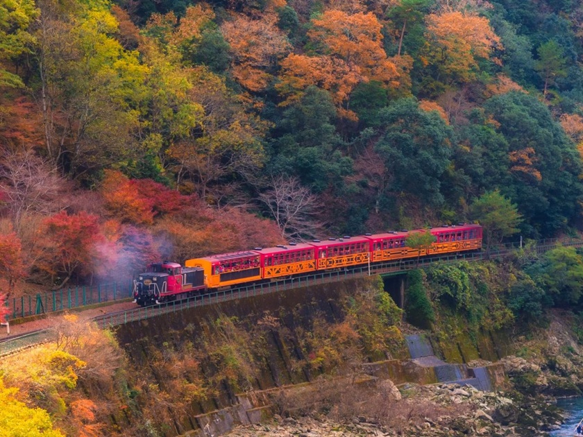 Kyoto Sagano Scenic Railway & Hozugawa River Boat Ride Tour