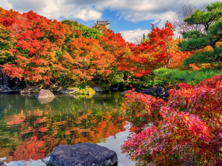 A variety of colorful scenery spreads out