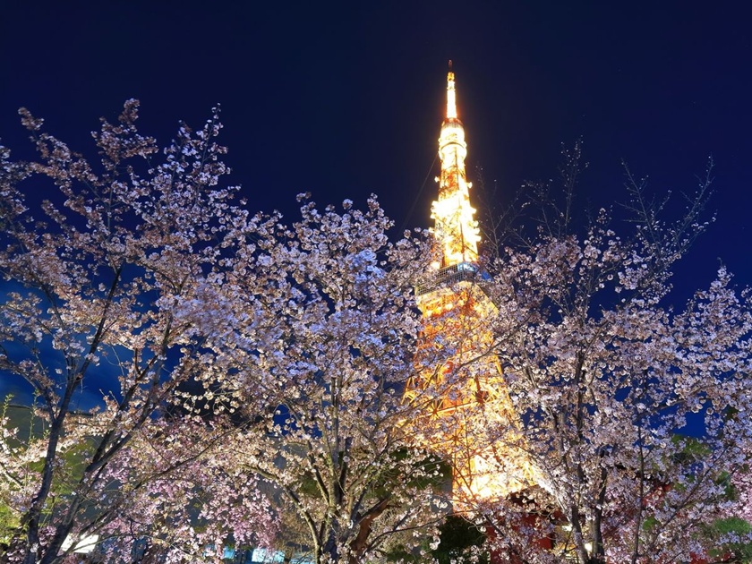 Tokyo Midtown (Roppongi)