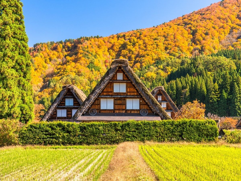 Shirakawa-go in autumn