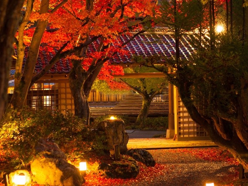 Shozan Garden autumn lights
