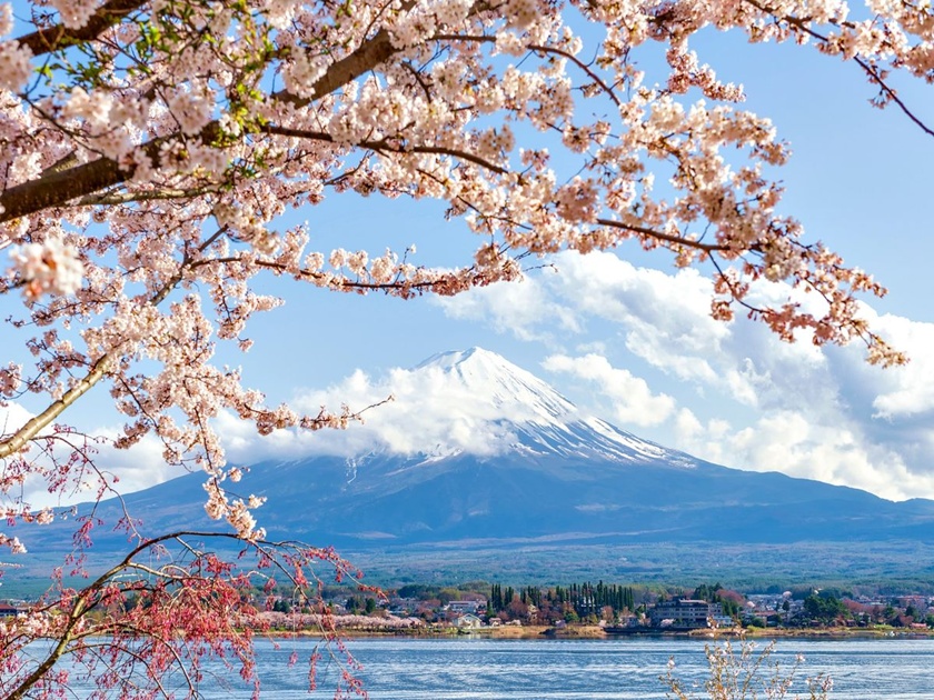 Mt. Fuji Private 1-Day Tour with Sake Brewery & Japanse Whiskey Distillery Visit
