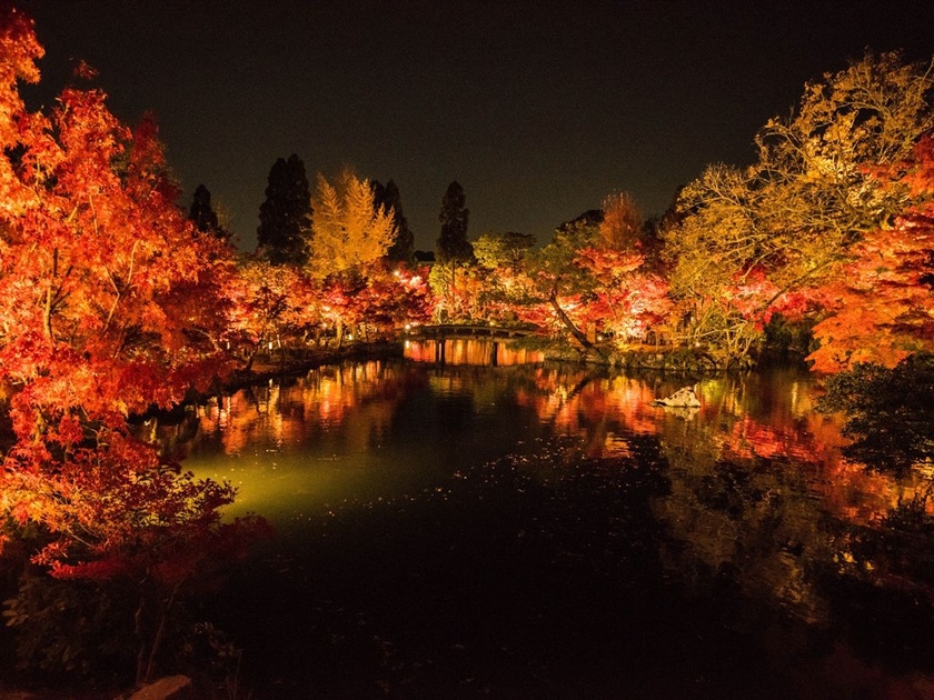 Autumn Colors Light-Up and Kaiseki Course Dinner at Eikando Temple in Kyoto