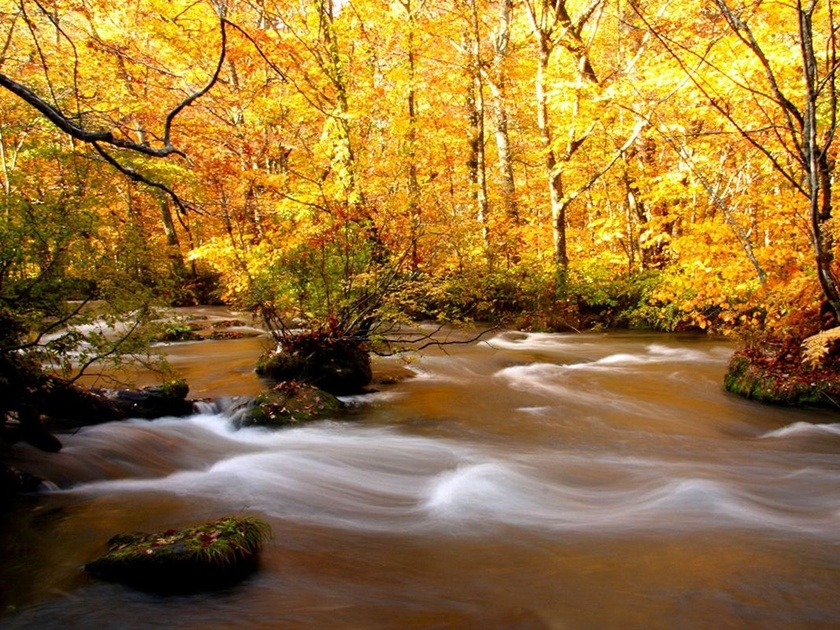 Oirase Gorge (Aomori)