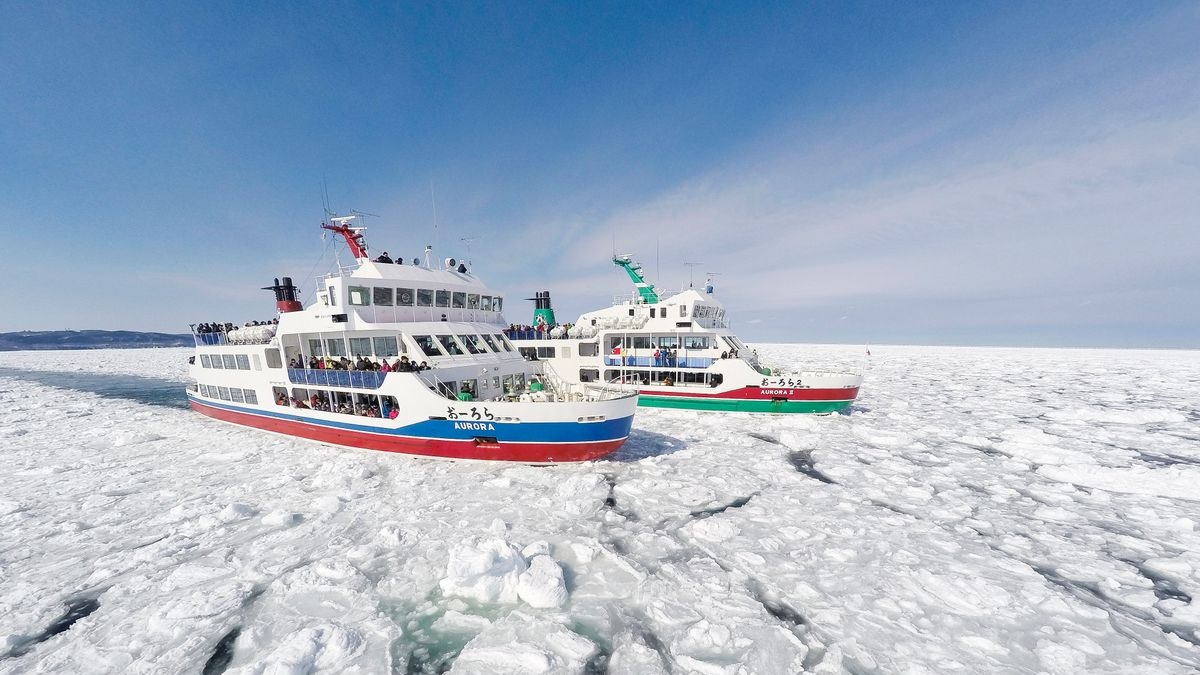Aurora Icebreaker Abashiri: Drift Ice Cruise & Museums
