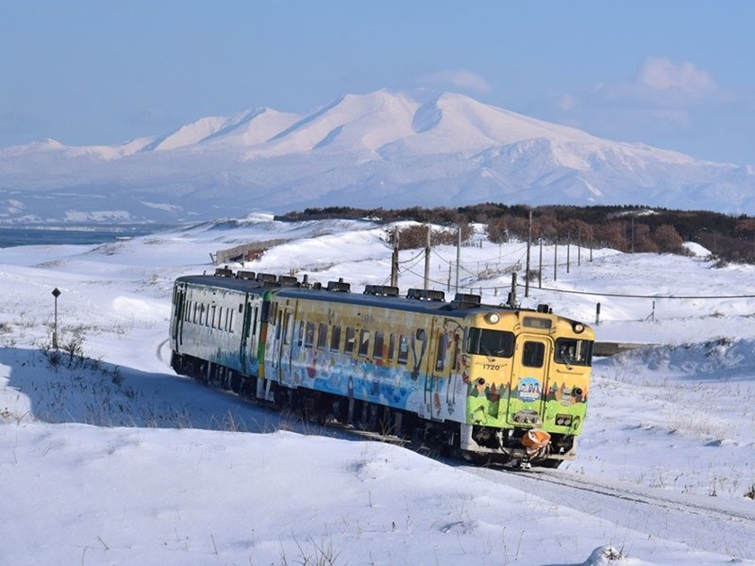 Aurora Icebreaker Abashiri: Drift Ice Cruise & Museums