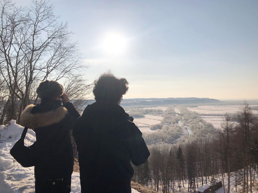 Cranes in the Snow: Tsurui Winter Crane Watching from Kushiro