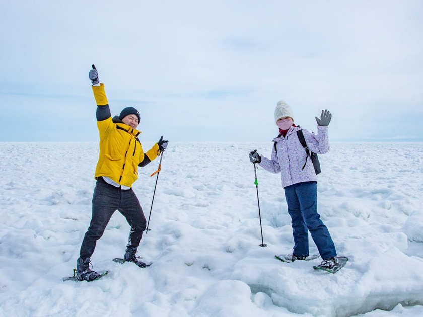 Snowy deep forest overlooking drift ice concept image)