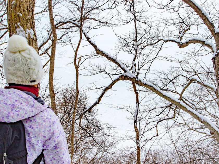 Snowy deep forest overlooking drift ice concept image)