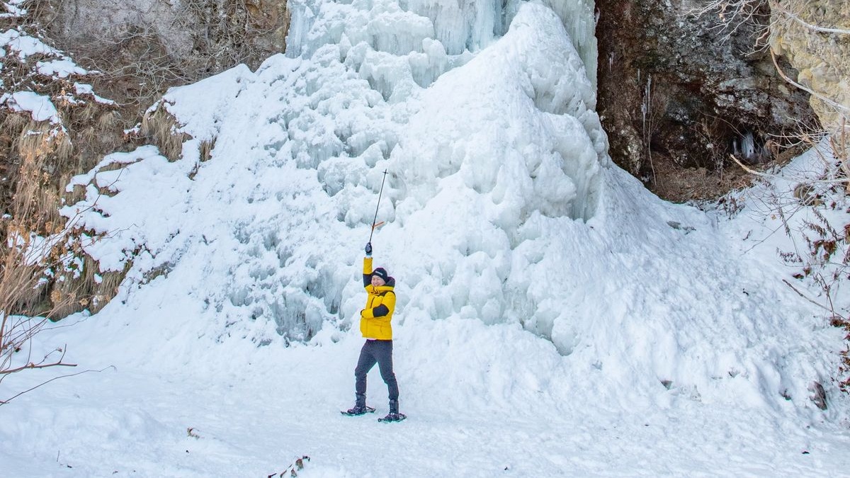 Snowy deep forest overlooking drift ice concept image)