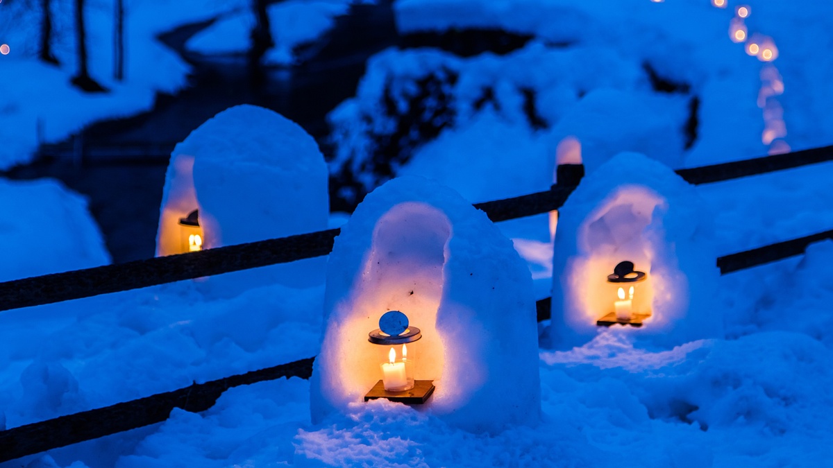Tokyo Winter Escape: Nikko Kamakura Snow House Festival & Strawberry Picking Day Trip (2025–26 Guide)