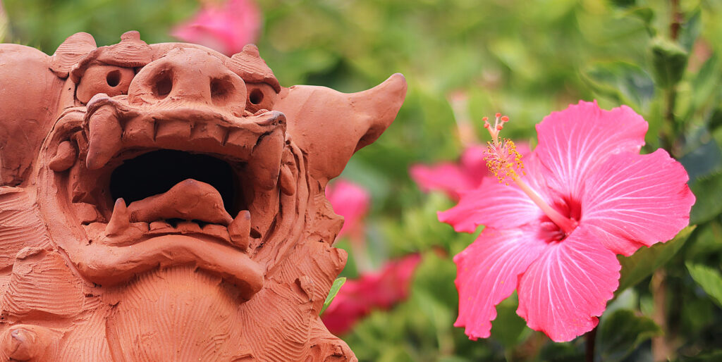 シーサーとハイビスカスでパチリ