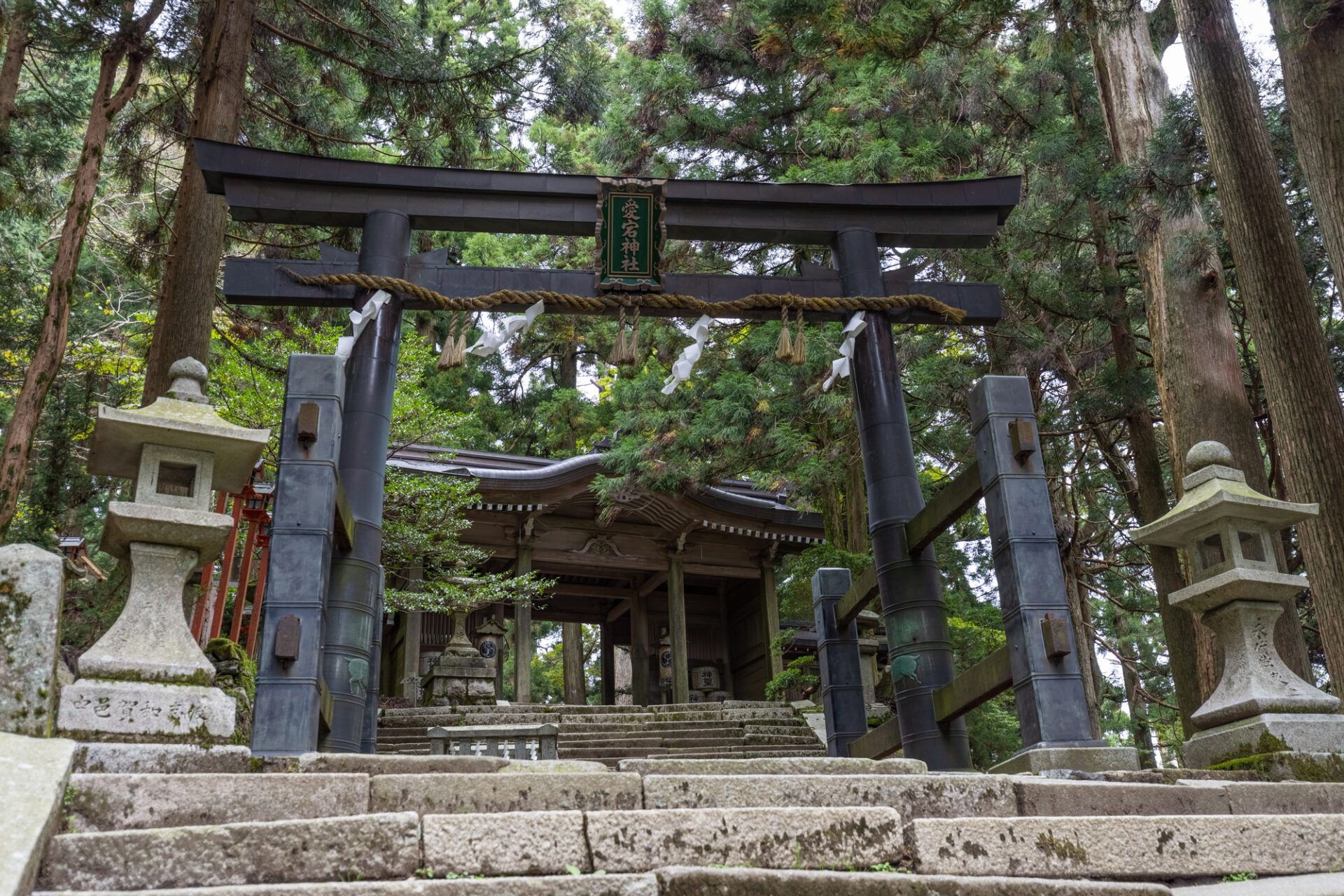 京都愛宕神社の鳥居
