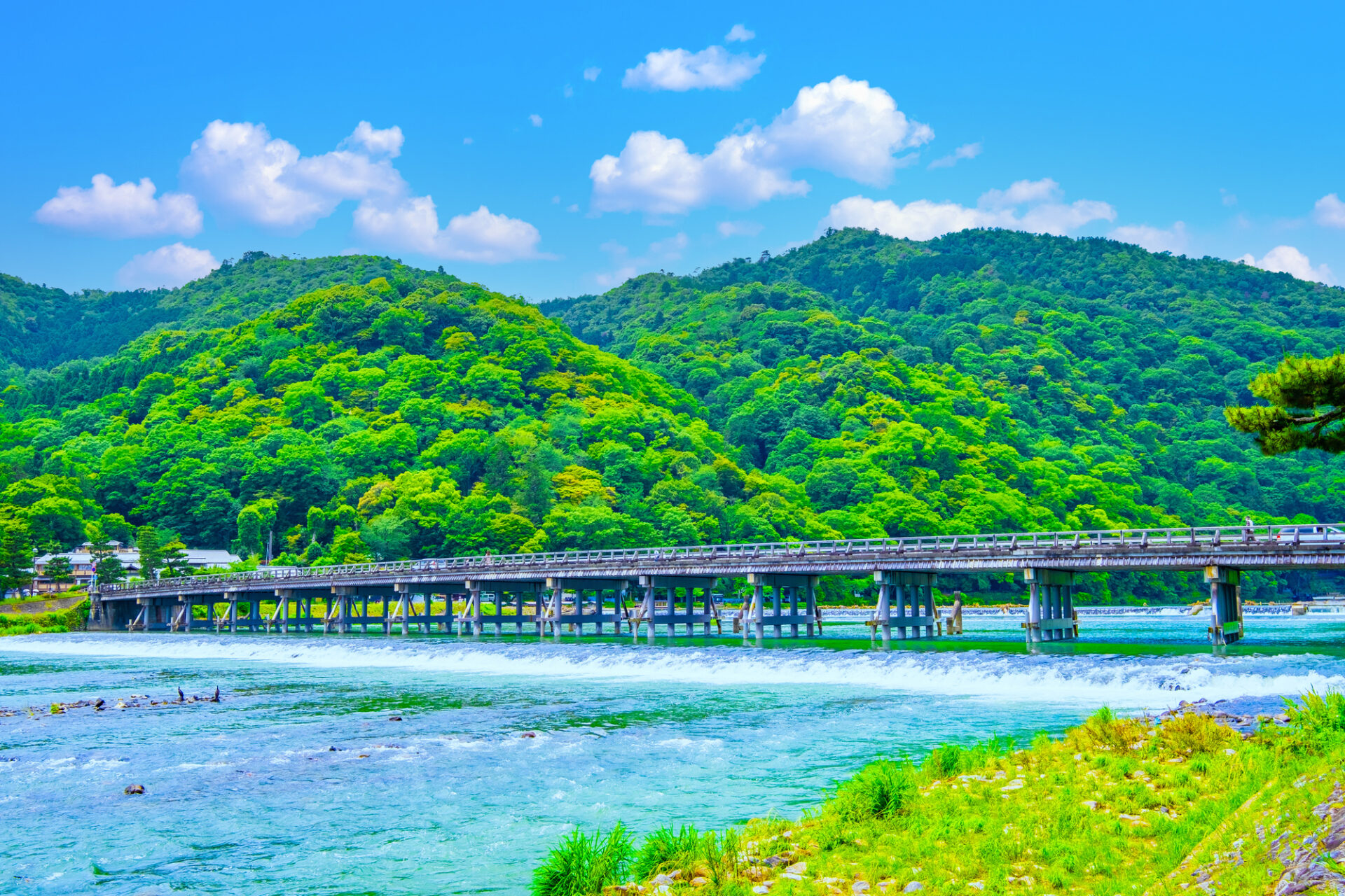 新緑が美しい嵐山の渡月橋