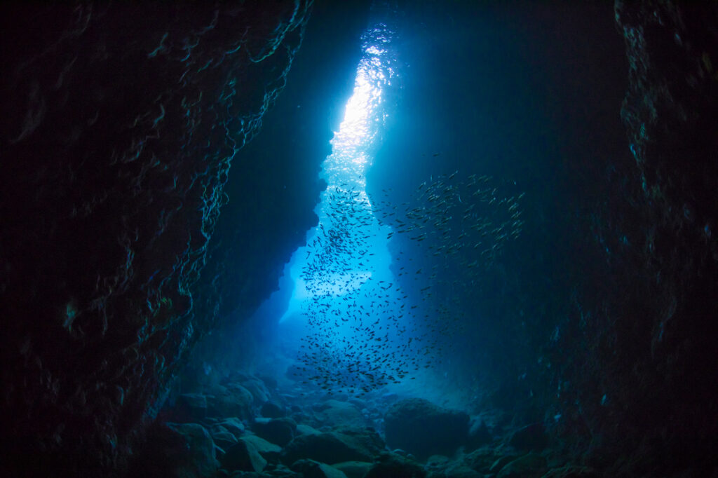 青の洞窟で見る魚の群れ