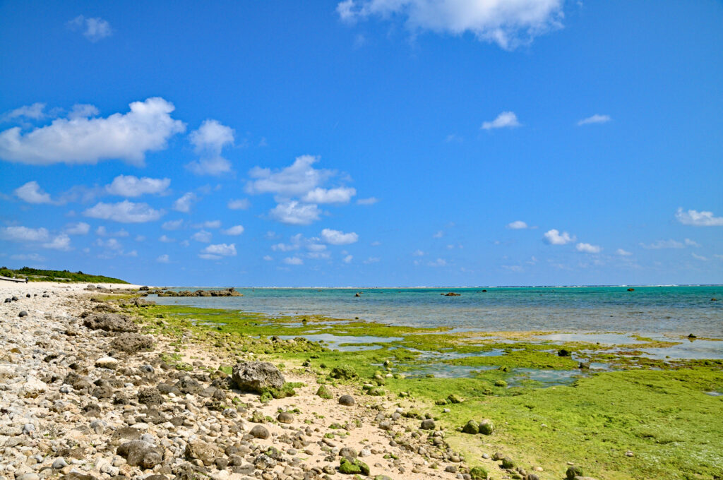石垣島の海岸と青い空