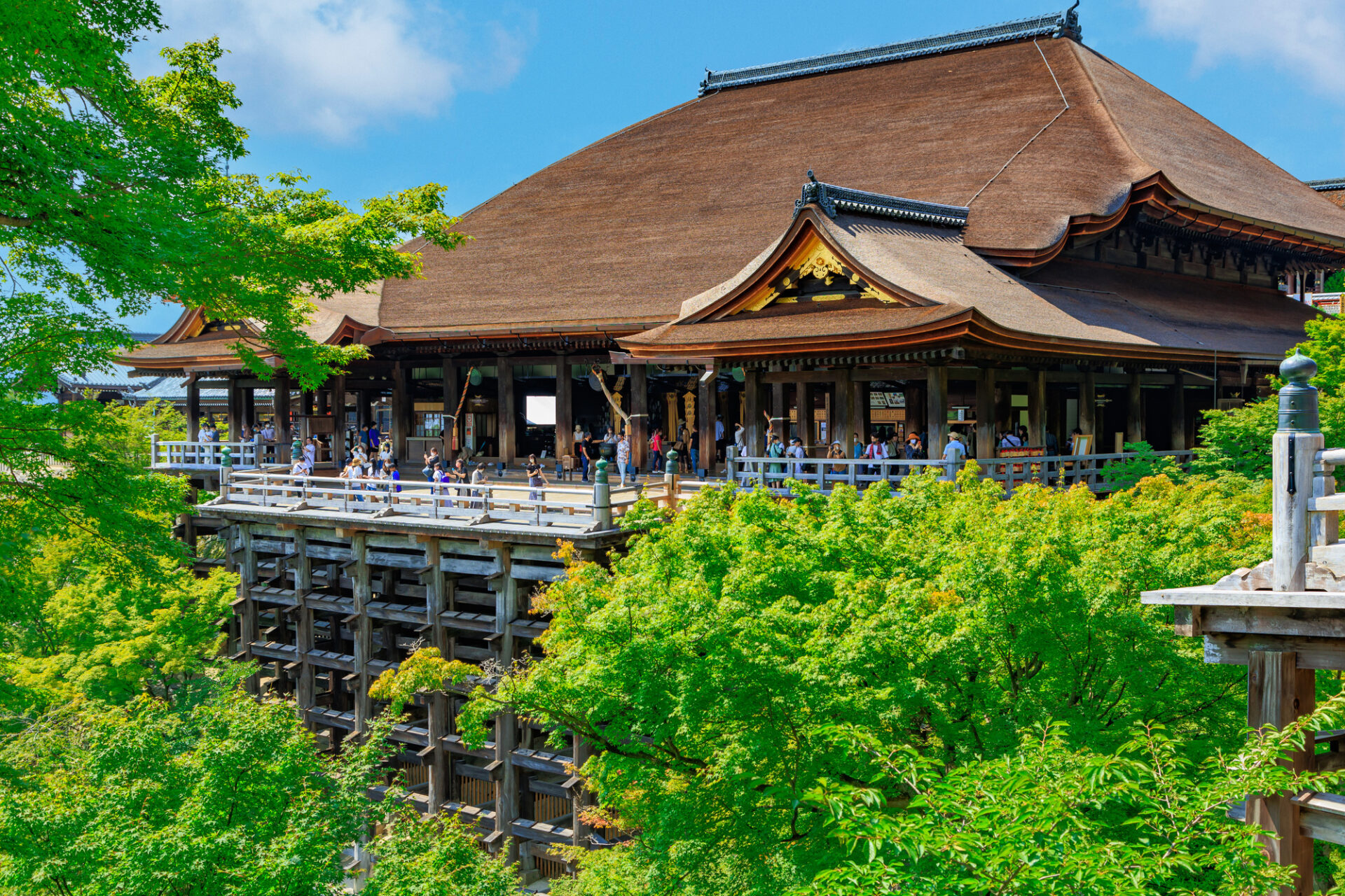 新緑の清水寺