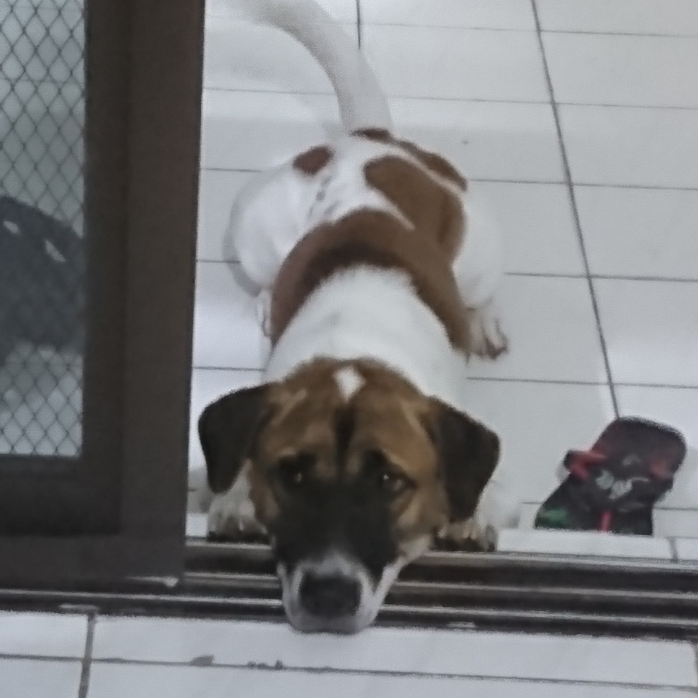 村田大輔のアバター