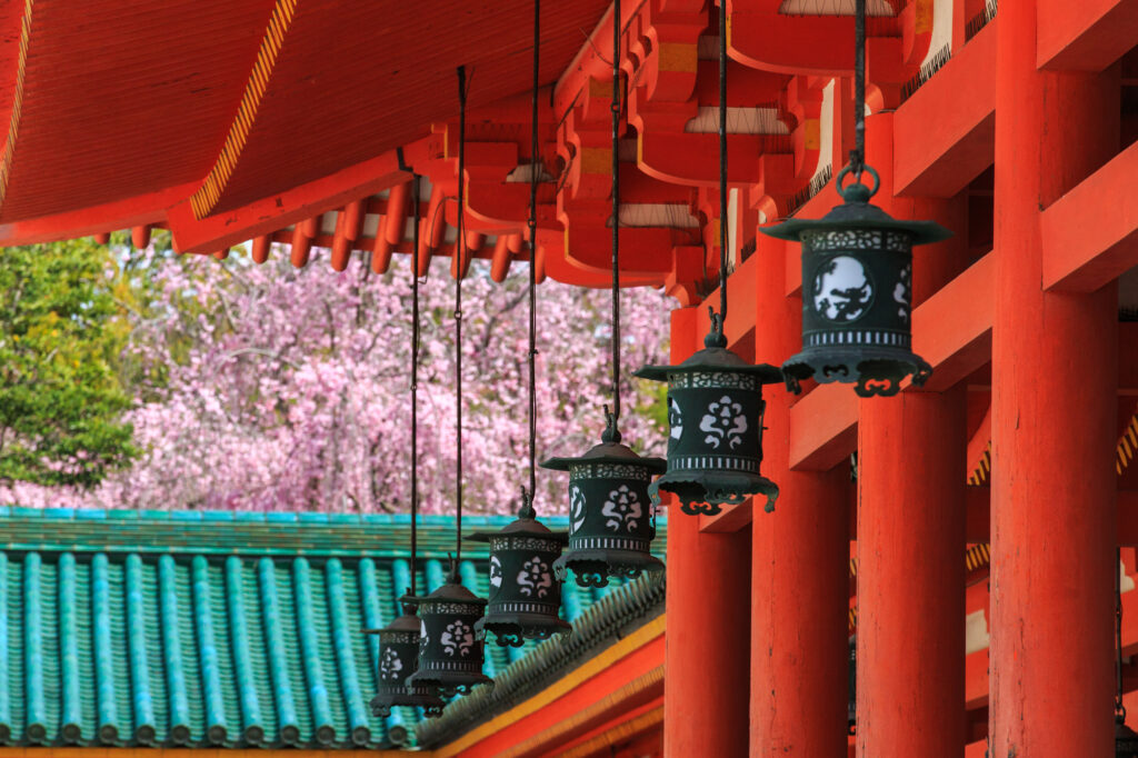 桜と平安神宮