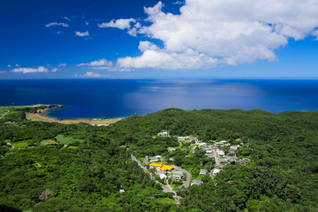 やんばるの風景