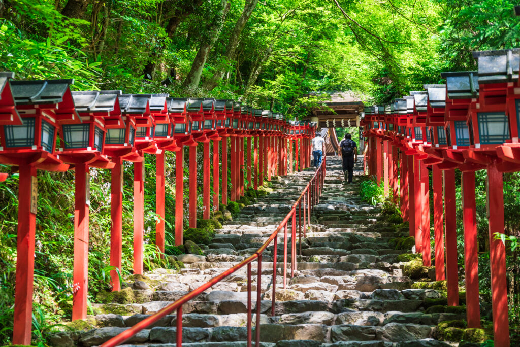 貴船神社と新緑