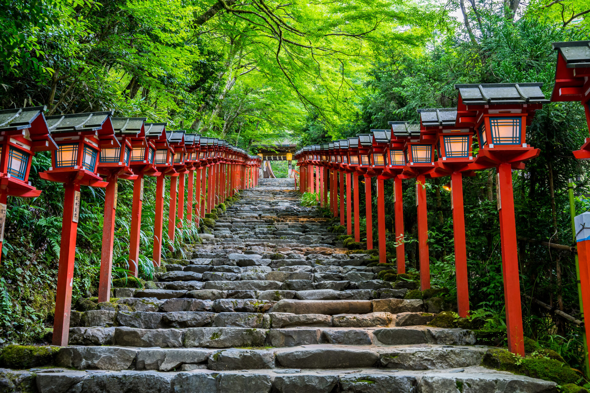 赤い灯篭が立ち並ぶ貴船神社