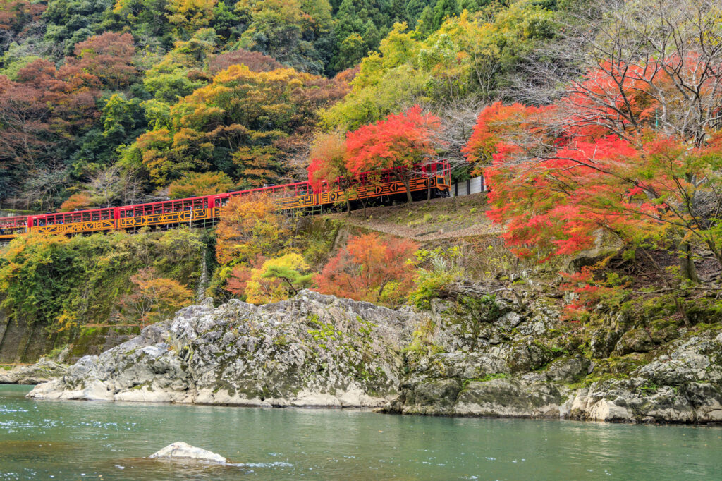 紅葉と嵯峨野トロッコ列車