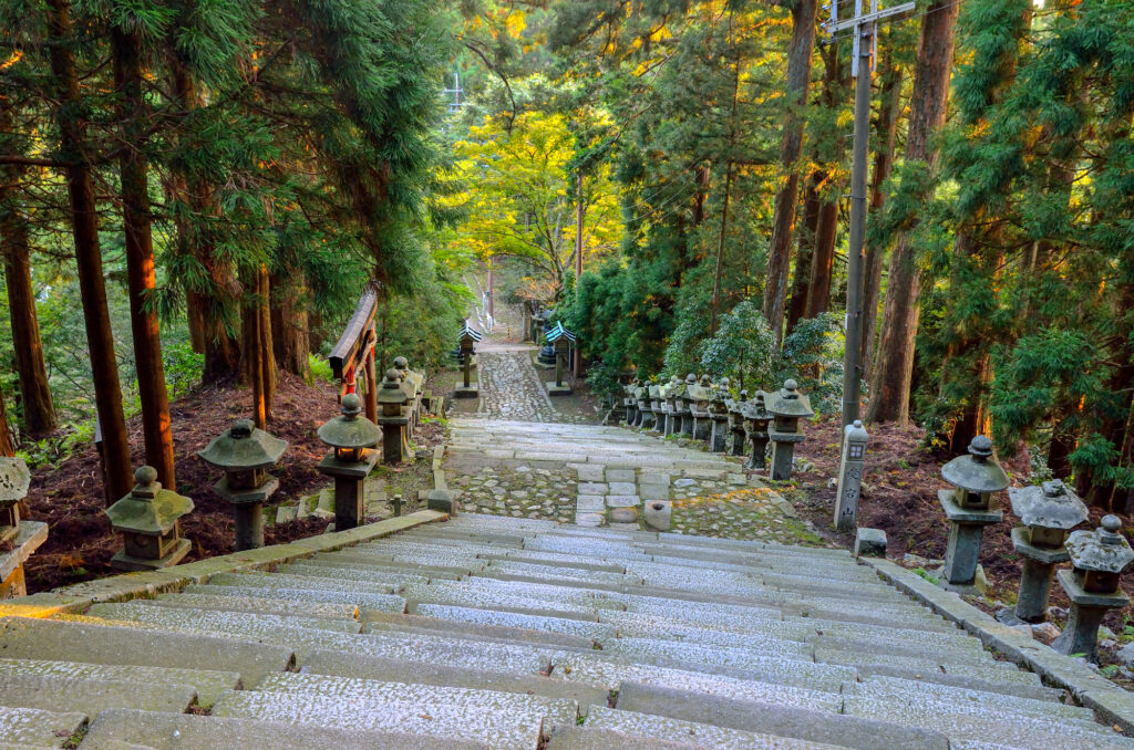 愛宕神社までの自然と参道の階段