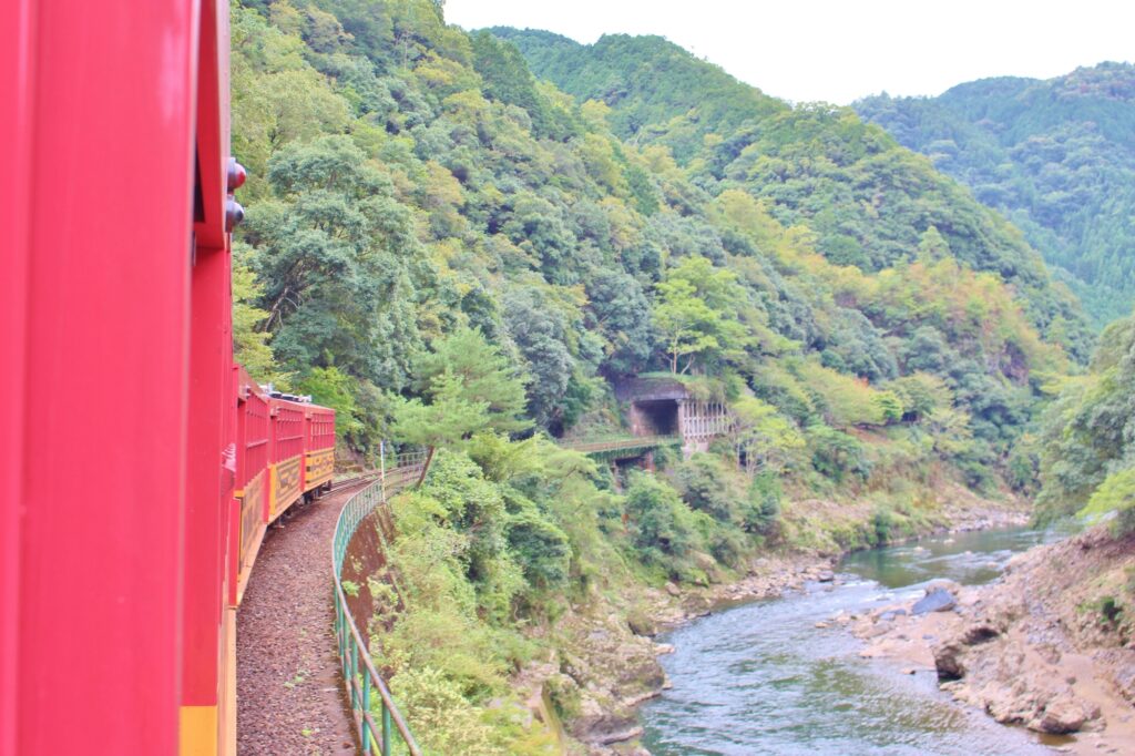 ゆったりと窓から川の流れを楽しめる嵯峨野トロッコ列車