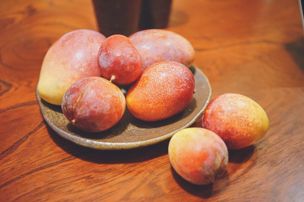 沖縄県宮古島特産の食材