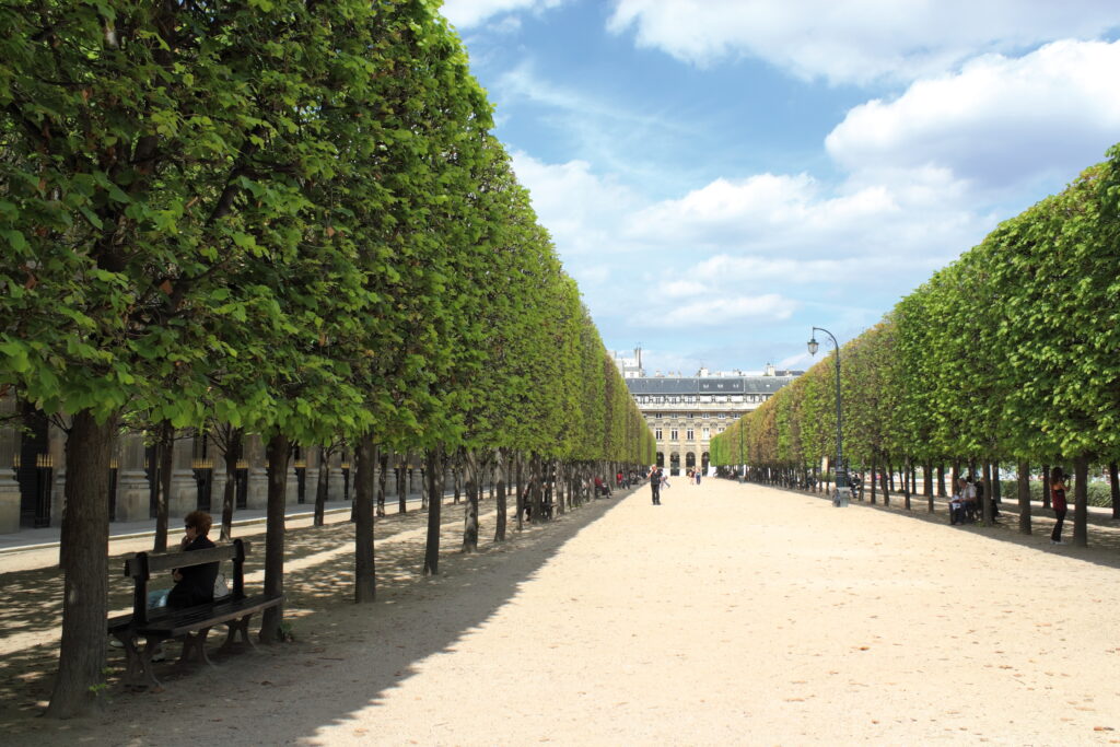 パレ・ロワイヤル庭園のマロニエ並木