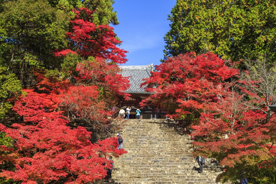 かわらけ投げの願掛けでも知られる神護寺