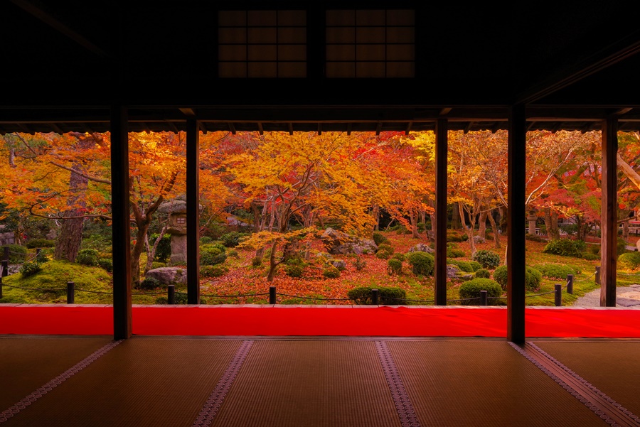 本堂から紅葉の額縁庭園を楽しめる圓光寺