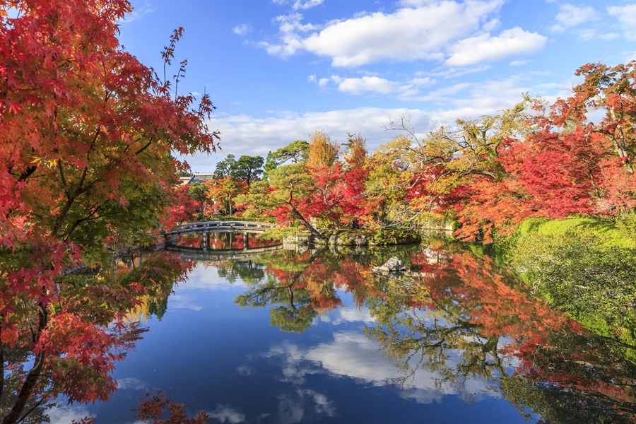 ”もみじの永観堂”として名を馳せる京都の紅葉名所