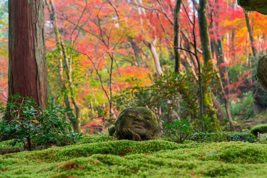 わらべ地蔵があちこちで見られる三千院の境内