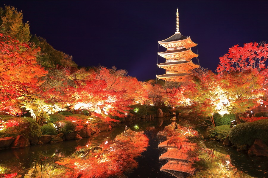 五重塔と真っ赤な紅葉が池に写り込む東寺のライトアップ
