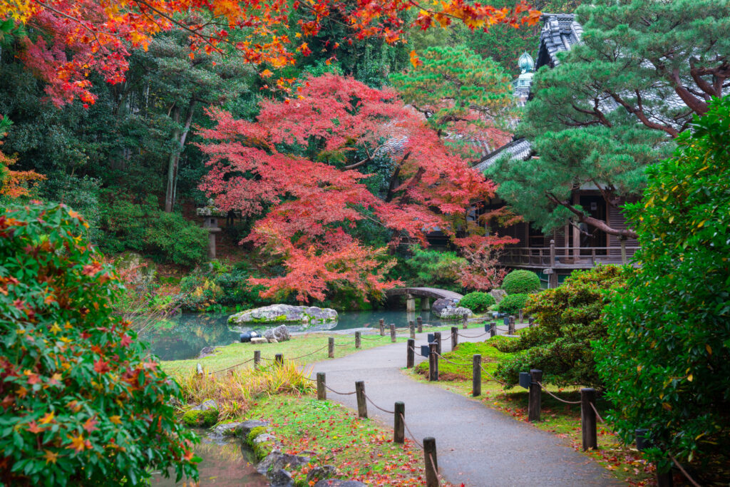 園内を散策しながら紅葉を楽しめる青蓮院門跡
