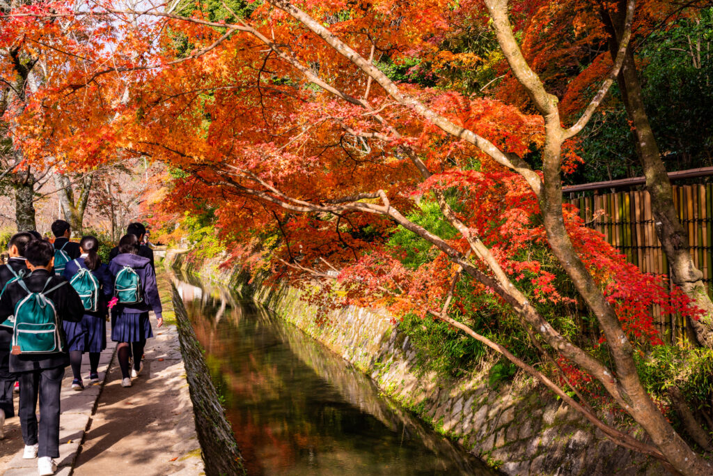 修学旅行生が歩く、紅葉の見頃を迎えた哲学の道