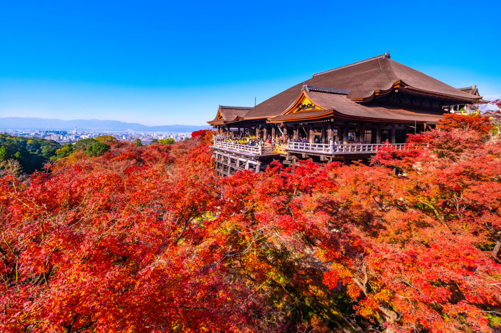 紅葉が見頃を迎えた清水寺