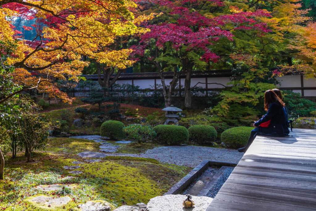 泉涌寺の御座所庭園の縁側で紅葉を楽しむ女性