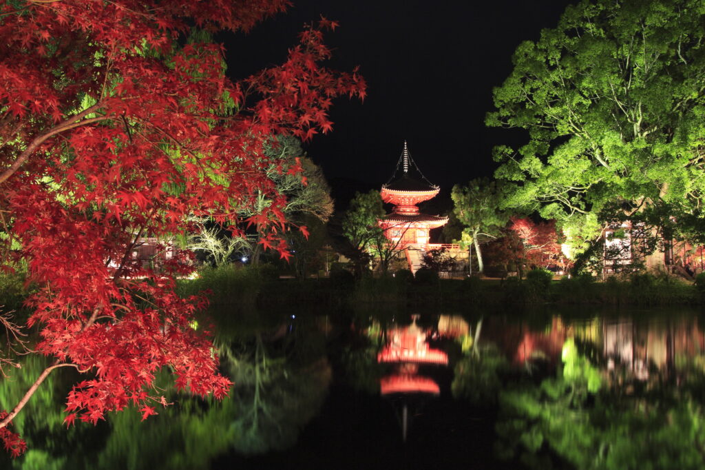 大覚寺大沢池の紅葉ライトアップ