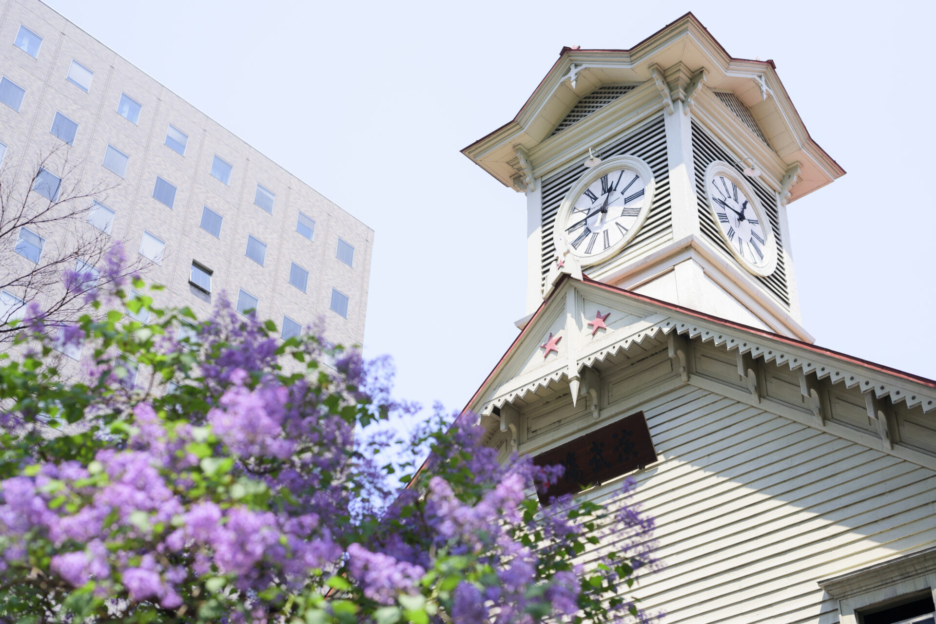 対策KW「ライラックと札幌市時計台」