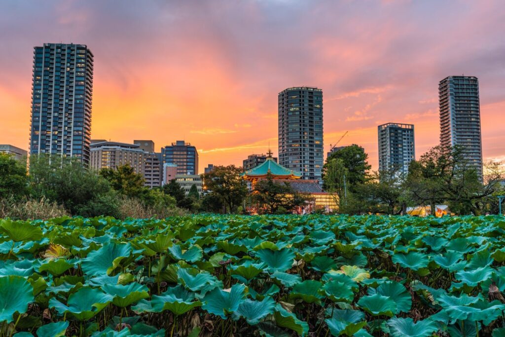 上野恩賜公園の不忍池の夕景