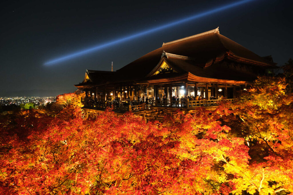 紅葉と清水寺のライトアップ