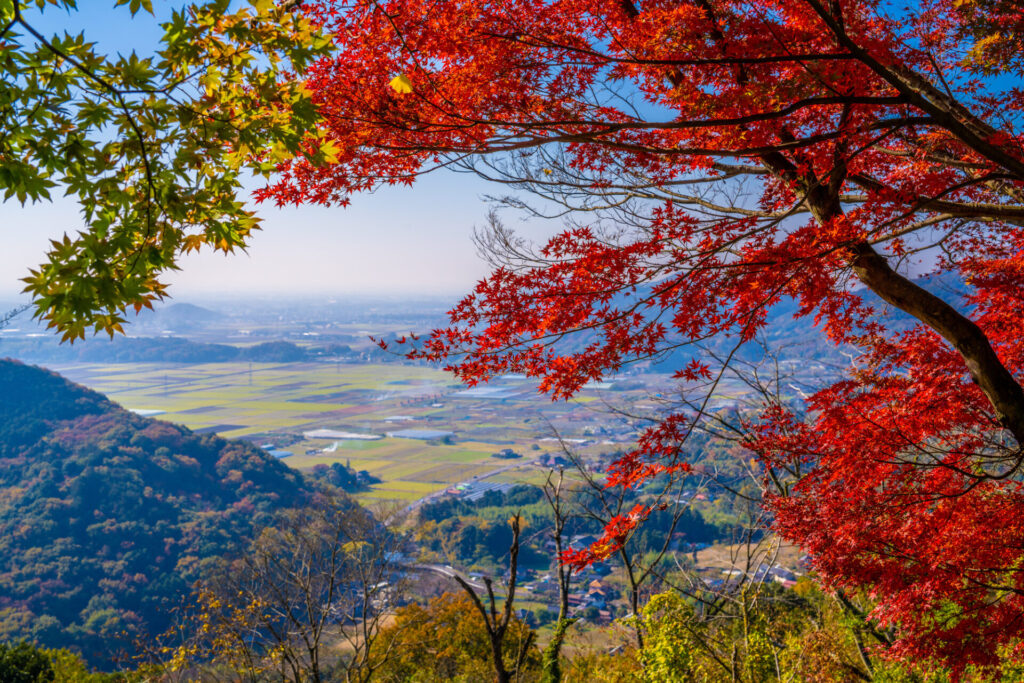栃木大平山の秋
